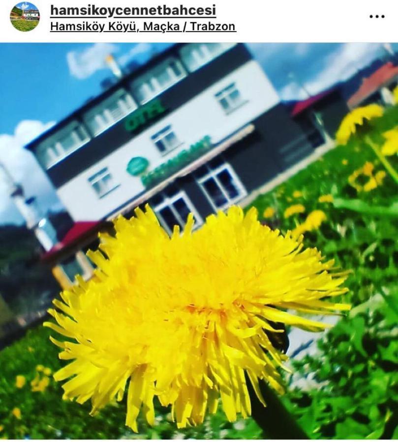 Hamsikoey Cennet Bahcesi Otel & Restaurant Hamsikoy 외부 사진