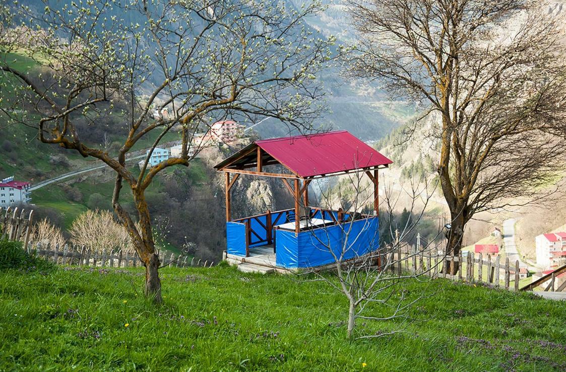 Hamsikoey Cennet Bahcesi Otel & Restaurant Hamsikoy 외부 사진